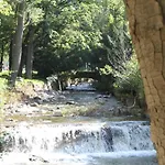 Stadtparkhotel Alexandra فندق باد هازبرغ