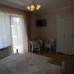 Stadtparkhotel Alexandra 3* باد هازبرغ