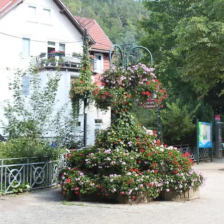 Stadtparkhotel Alexandra