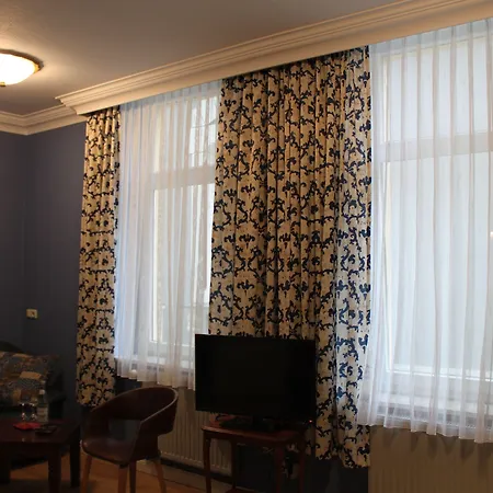 ホテル Stadtparkhotel Alexandra バート・ハルツブルク