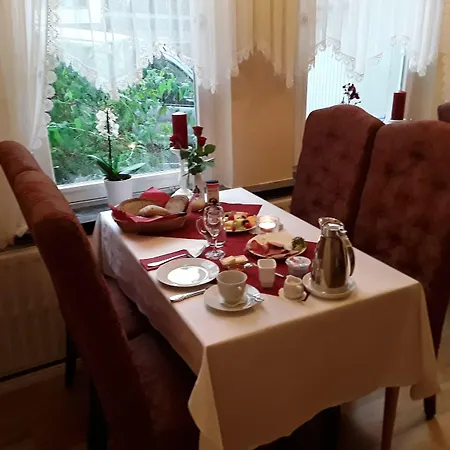 Stadtparkhotel Alexandra ホテル 3*